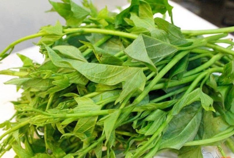 Giấc mơ cho thấy bạn là người ôn hòa, tốt bụng